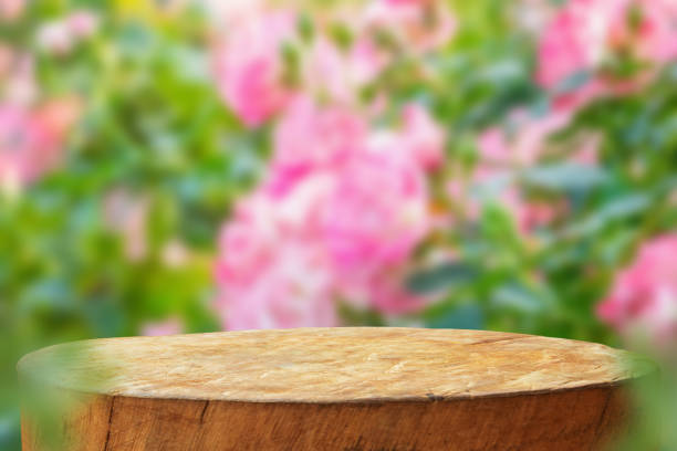istock Empty old tree stump table top with blur rose garden background for product display 2156568660