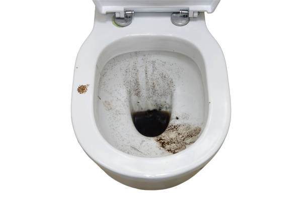 istock The bathroom had a clogged drain that required immediate attention, isolated on white background. Without proper unclogging, the dirty water could overflow and create a health hazard 2156568908
