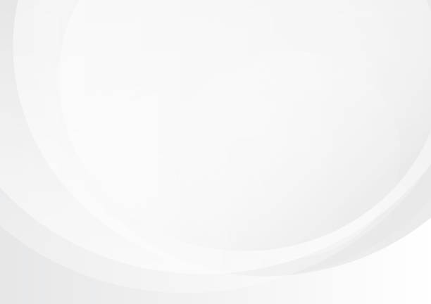 abstract white background with lines curve, vector illustration - szare tło stock illustrations