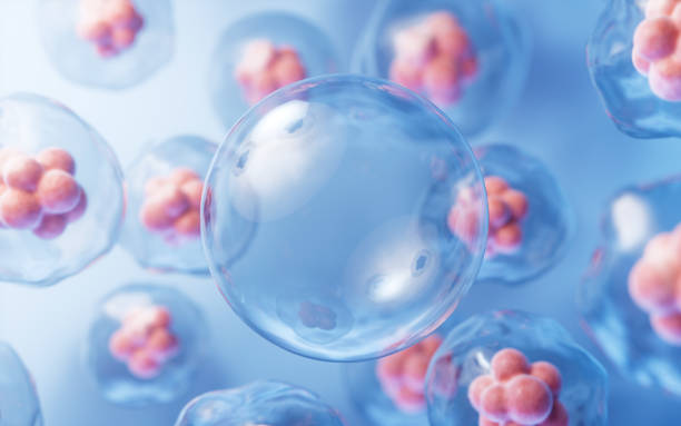 istock Transparent cell with biotechnology and cosmetic concept, 3d rendering. 2156572522