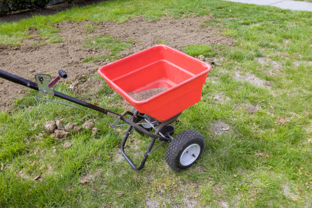 In back yard of residential property, lawn grass seeds are sown using a drop lawn spreader In back yard of residential property, lawn grass seeds are sown using drop lawn spreader lawn seeder stock pictures, royalty-free photos & images