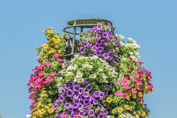 Flowers made of colored papers in the Thanh Tien traditional village, Hue city, Vietnam. Travel concept