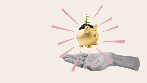 istock A human hand shows a piggy bank with a growing leaf above it 2156579139