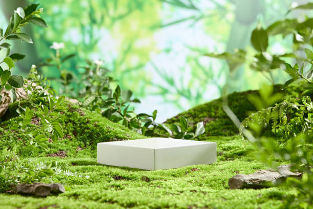istock Nature concept photo on blurred green forest background, blank display platform in white color featured on green grass. Photo of front angle with many vacant spaces for designing 2156582713