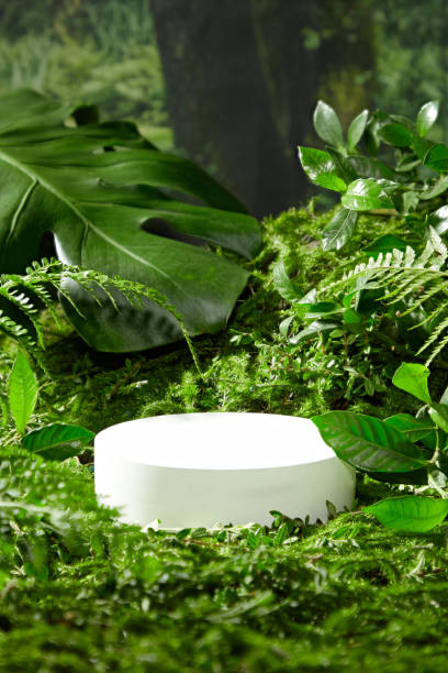 Green natural forest layout photo with front view, against the blurred background. The white podium in round shape placed on green vegetation for presenting product of natural ingredient