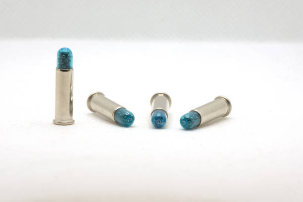.22 caliber rimfire long rifle shot shells, snake shot for defense