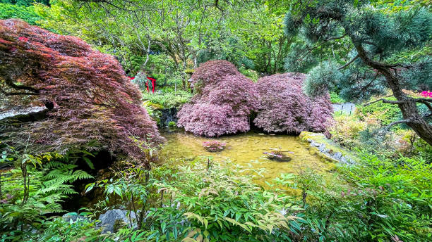 Pathway in the Butchart Gardens in Victoria, British Columbia