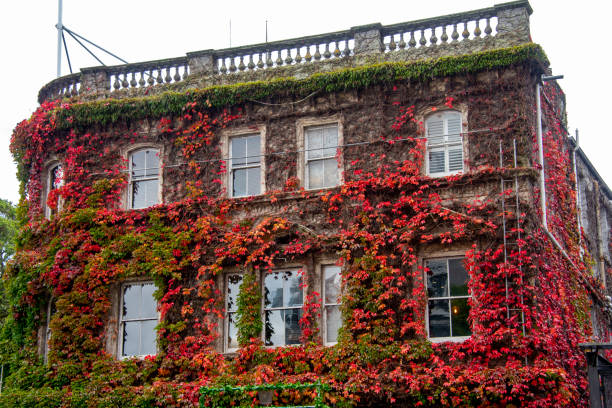 The Northern Club - Auckland - New Zealand