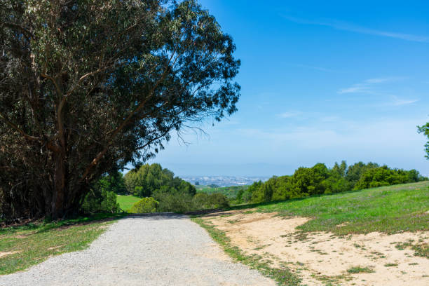 A gravel path winds through a scenic hillside, framed by lush trees and opening to a distant view of the San Francisco Bay Area under a bright blue sky