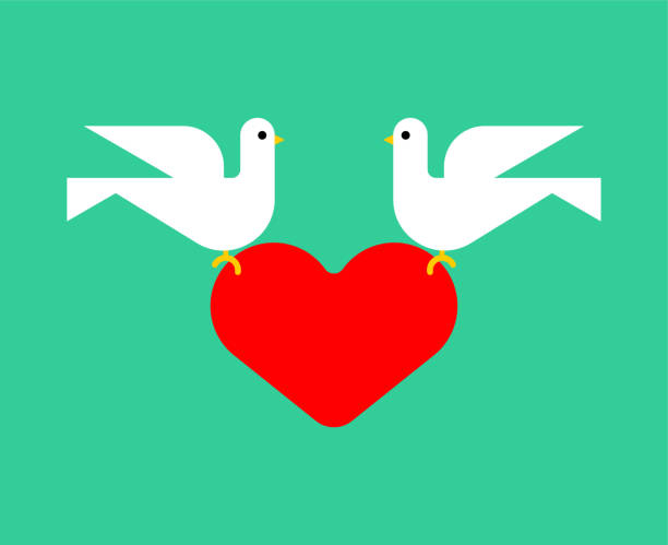 istock Dove and heart symbol of love sign. 2156594557
