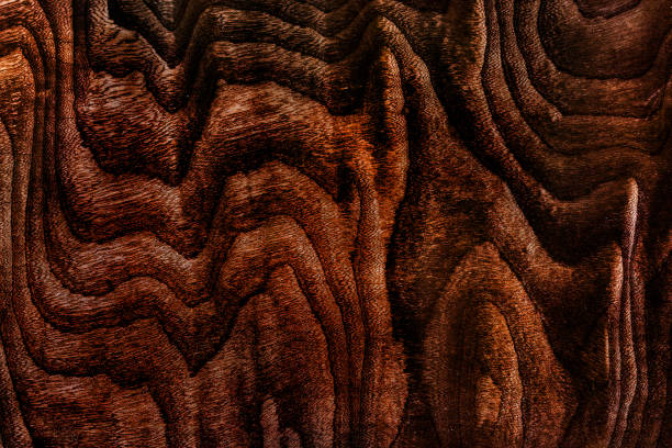 Beautiful wood grain. Wood background. Wood grain pattern texture background