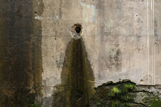 Part of an old dirty concrete wall with a hole in it. Water slowly draining causing moss to grow below it.