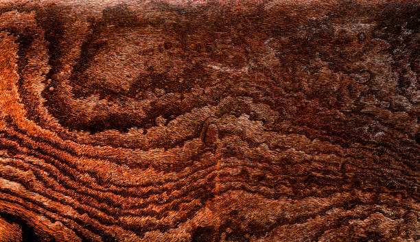 istock Beautiful wood grain. Wood background. Wood grain pattern texture background 2156602603