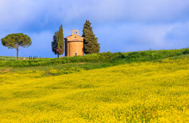 istock San Quirico d'Orcia, Italy. Tuscan landscape. 2156604456