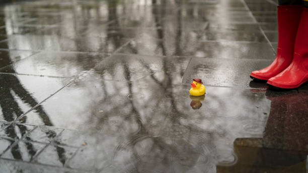 istock rubber boots is standing in a puddle and playing with yellow rubber ducks 2156606032