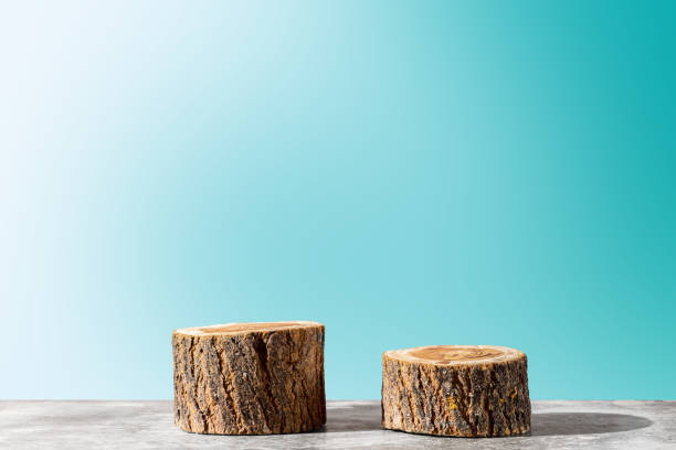 istock Two wooden stump round saw cuts on a soft blue gradient background. 2156607495
