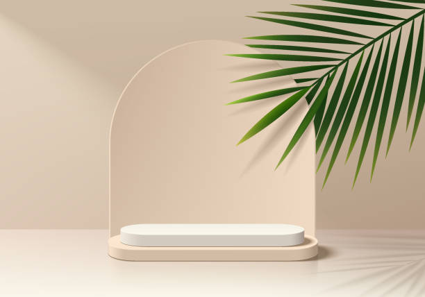 istock Beige 3D round podium pedestal background with coconut leaf and arch backdrop wall scene. Minimal mockup or abstract product display presentation, Stage showcase. Platforms vector geometric design. 2156607606