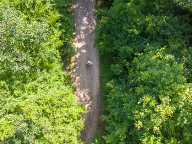 istock Heterosexual couple relax walking in the woods 2156616803