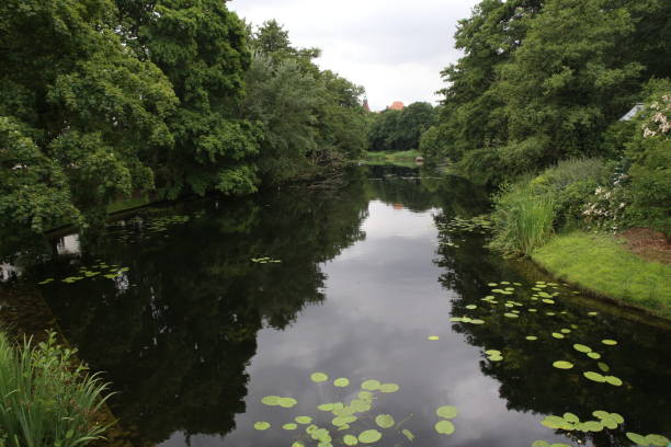 istock river nature pond outside building flowers 2156621605