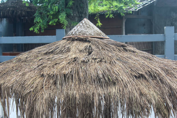 istock hut building with roof using dry straw grass 2156624827