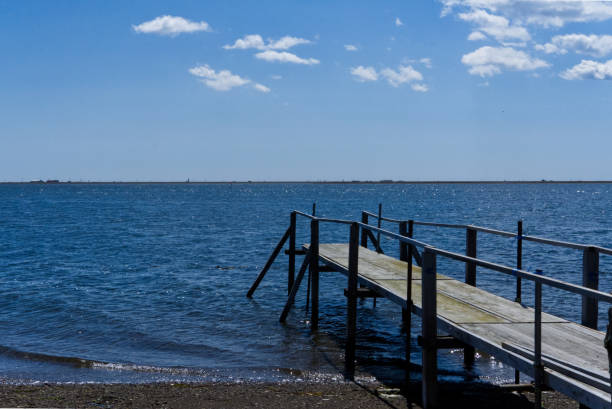 istock Todowara on the unexplored Notsuke Peninsula in eastern Hokkaido 2156625260