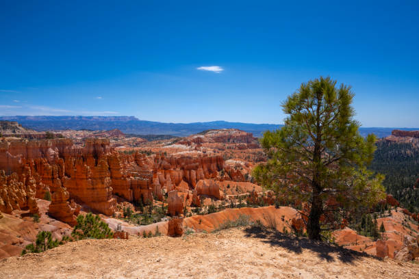 istock Bryce Canyon National Park 2156625289