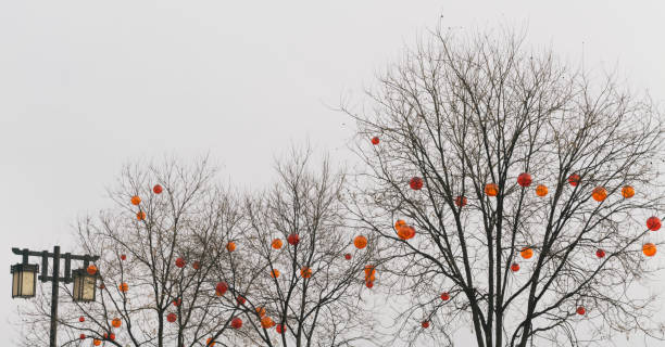 Red Lantern in festival