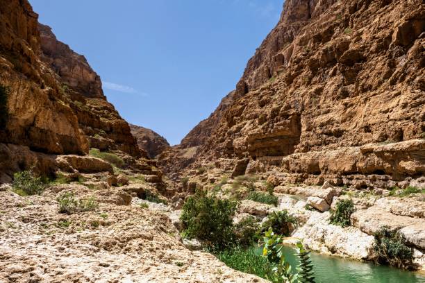 Canyon Wadi Ash Shab, Oman Wadi Shab, Oman, March 17, 2024: View of the canyon of the river Wadi Ash Shab on a sunny day. wadi shab stock pictures, royalty-free photos & images