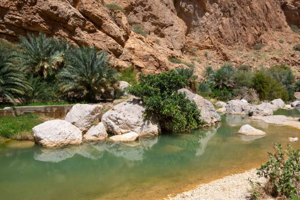istock Canyon Wadi Ash Shab, Oman 2156628495