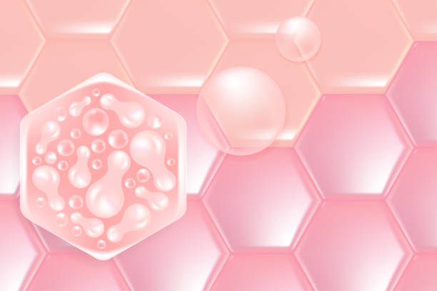 istock Probiotic and Hyaluronic acid skin solutions ad, pink collagen, and vitamin serum drops with cosmetic advertising background ready to use illustration vector. 2156632008