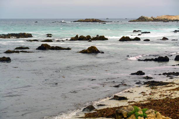 Surf breaking Asilomar State Marine Reserve Monterey Bay California