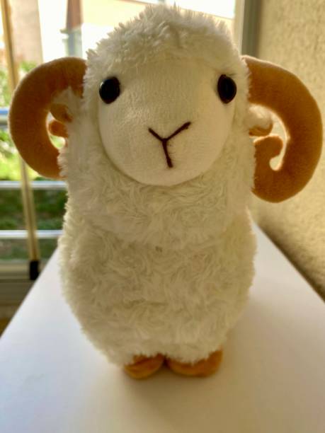 istock toy plush lamb white color 2156639110