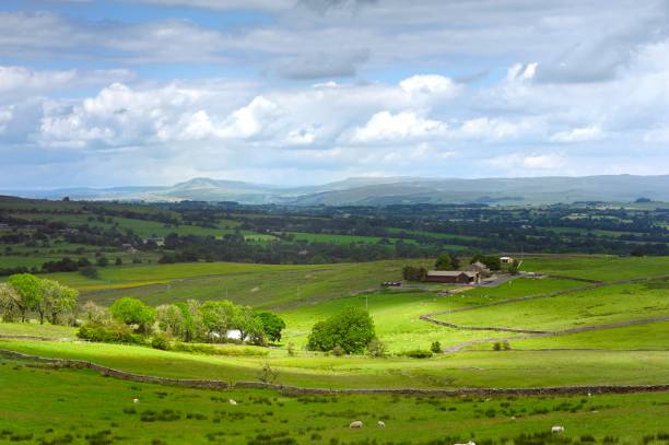 View along the dale with dry stone wall with trees, fields, and heath under blue sky with clouds at sunrise on a bright autumn morning  in North York Moors national park. Glaisdale, Yorkshire, UK.