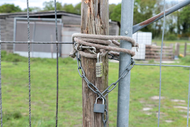 istock Padlock combination lock with chain on the fence 2156650809