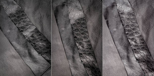 Collection of images with black leather textures background. Abstract vintage natural cow skins backdrop. Different leather stripes.