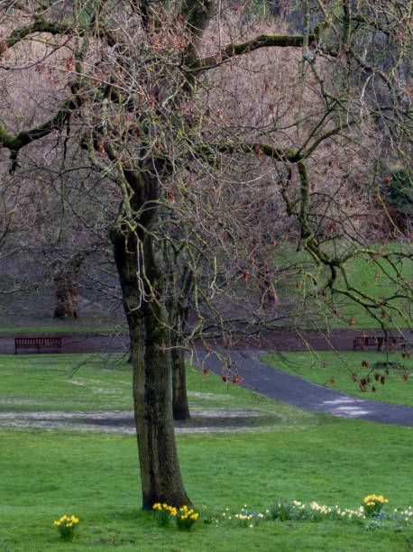 istock Princes Street Gardens, Edinburgh 2156652760