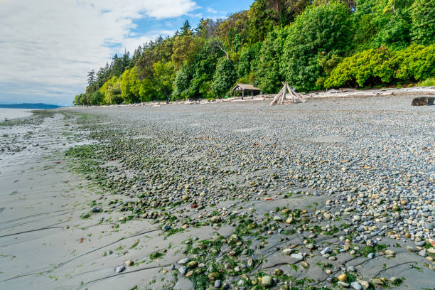 istock Lincoln Park Rocky Beach 2 2156653210