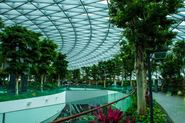 Canopy park at Changi airport