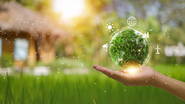 istock Environment concept. Green earth planet in hands with shining light. Save and protection Earth. sustainable and corporation development, green eco friendly. 2156663116