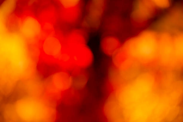 Vibrant orange and red bokeh lights blurred background design