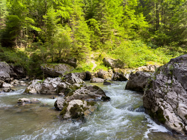 istock River flows through forest, surrounded by rocks and trees in natural landscape 2156668161