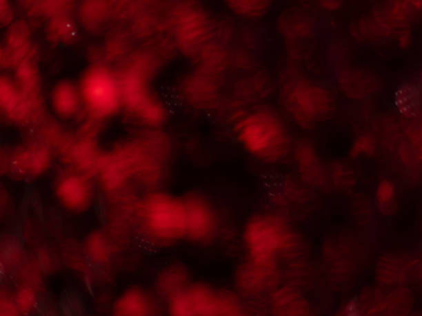 dust of metallic pigment sparkling with orange and red colour bokeh. macro shot background
