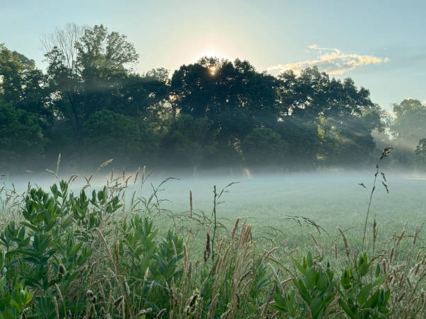 istock Farmland at Sunrise 2156670091