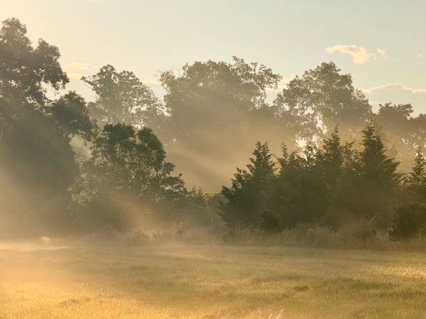 Farmland at Sunrise