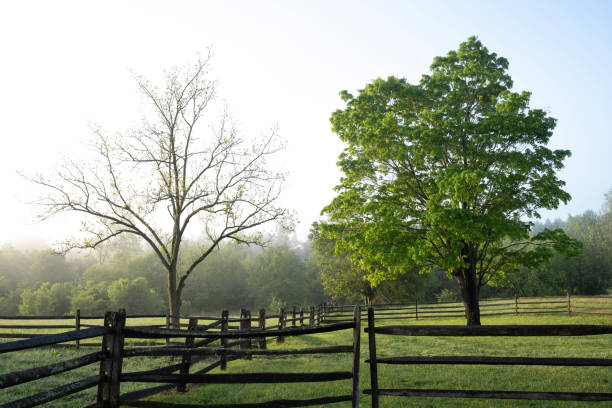 Farm in a fog morning, Pennsylvania, USA