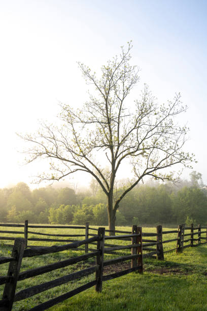 Farm in a fog morning, Pennsylvania, USA