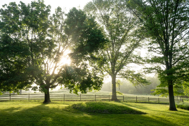 istock Farm in a fog morning 2156680323