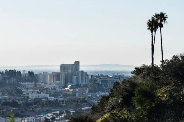 istock Los Angeles County Hospital with Palms 2156680847