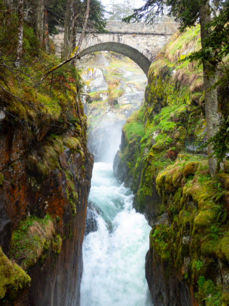 istock Torrent in the mountain 2156683626