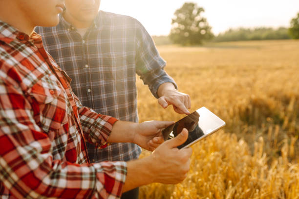 istock Two Farmers working with Tablet on wheat field. 2156684955